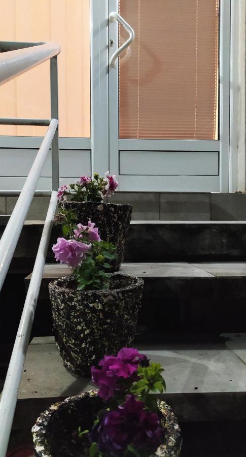 Apartman Todorovic Jagodina Exteriér fotografie